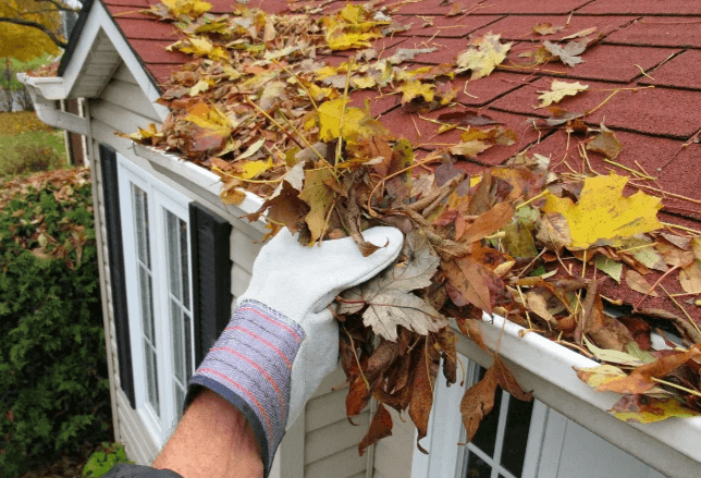 DIY Gutter Cleaning Tips and Tricks