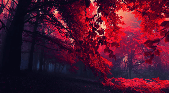 Aesthetic:5f4l9ssl3ry= Red Wallpapers