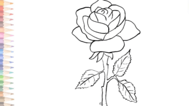 Outline:5lvuzffno7u= Roses Drawing