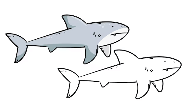 Outline:5vndp5ab-D8= Shark Clipart