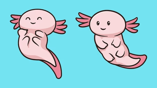 Cute:9hvtaqpxk5e= Kawaii:0vv6g7qou0c= Axolotl